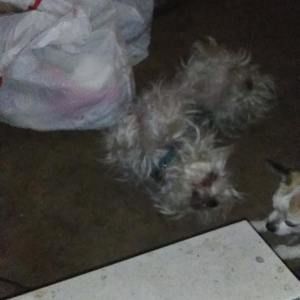 Meet your Posher, Theresa